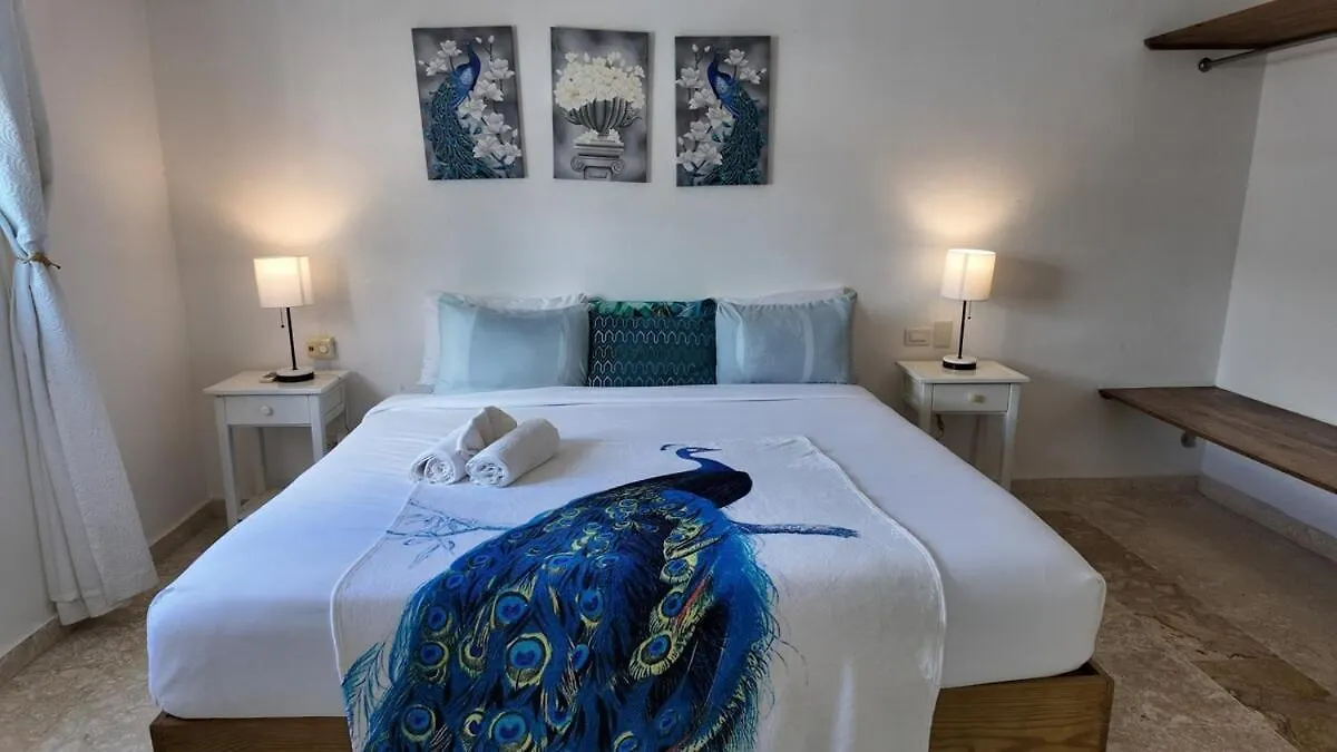 La Fenice Beachfront Apartment 拉斯特拉纳斯 0*,
